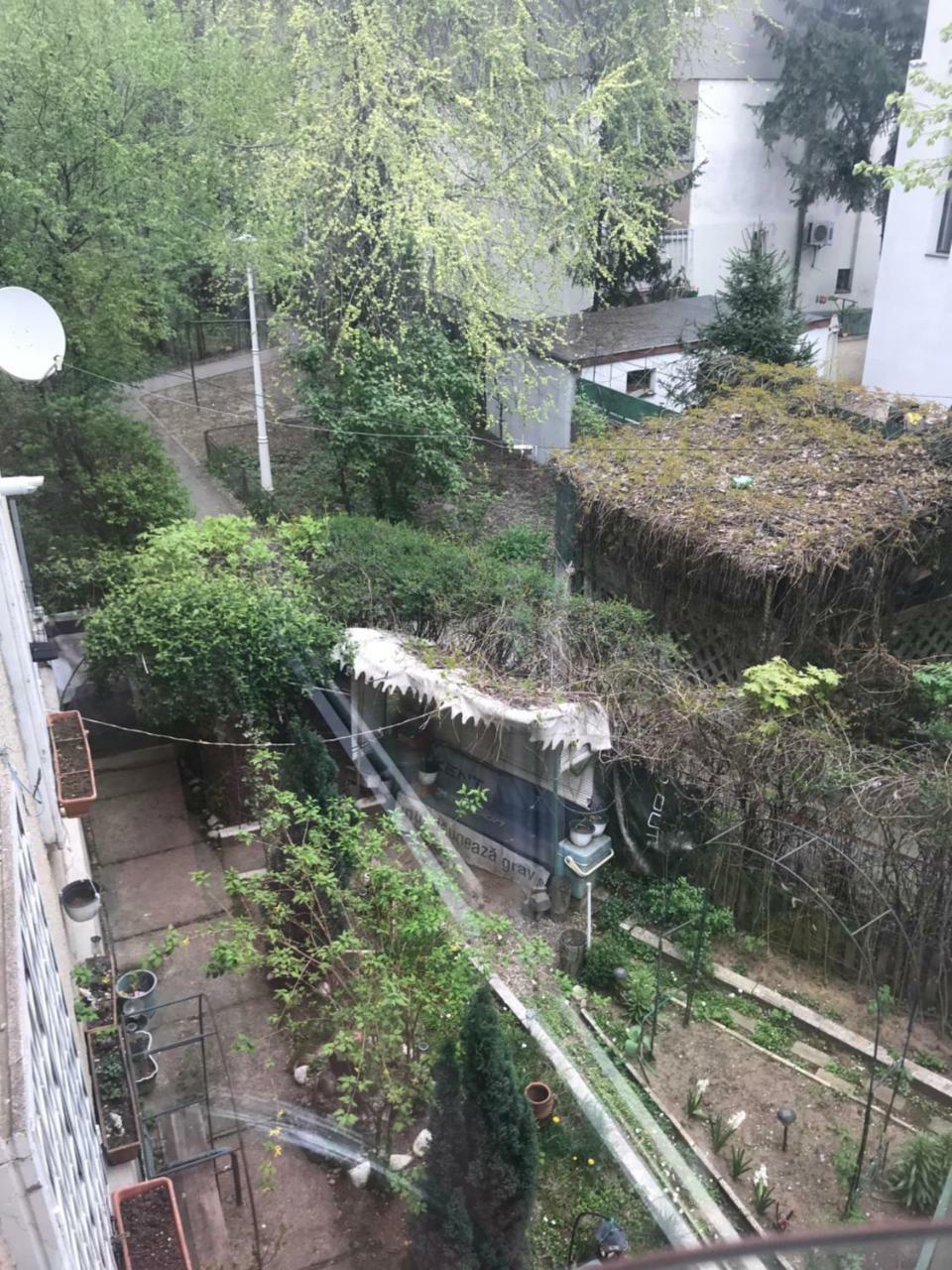 Floreasca Ambient